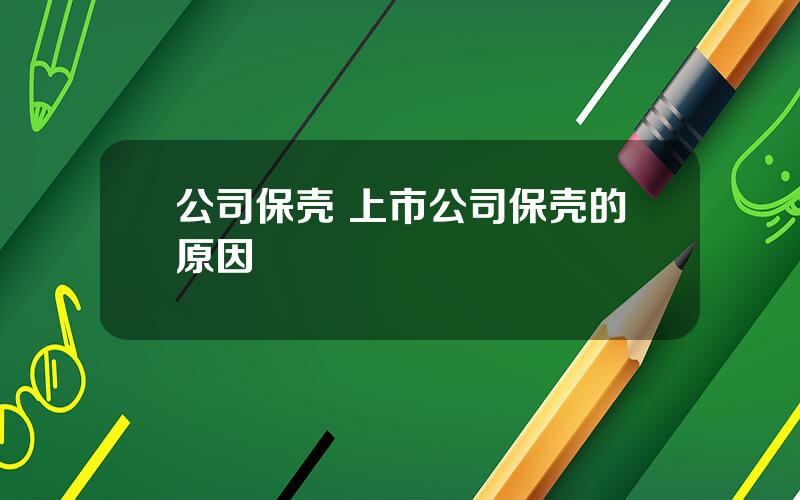 公司保壳 上市公司保壳的原因
